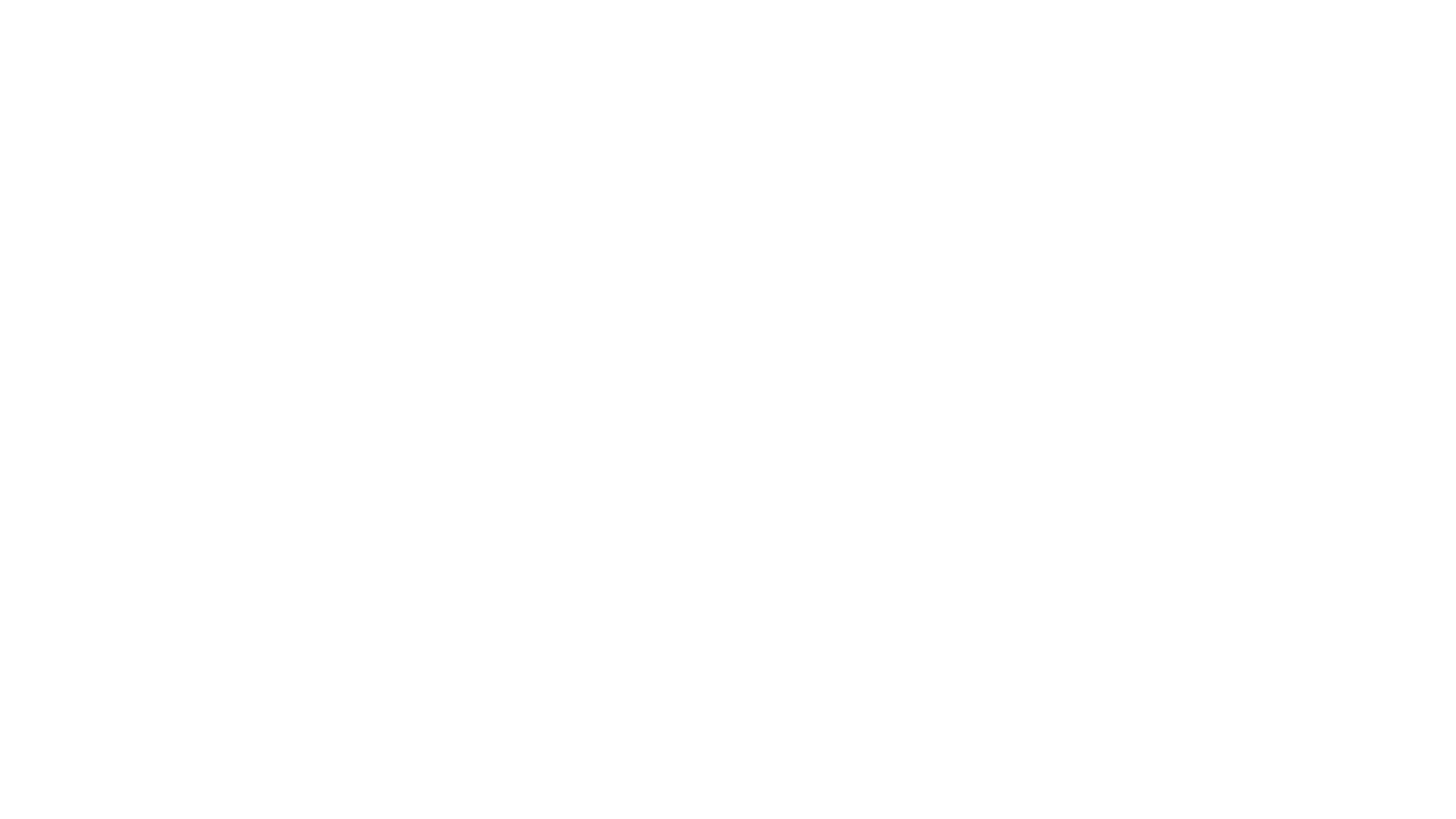 ANS Travel